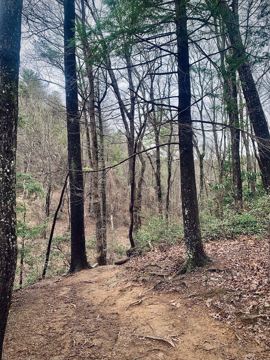 Sammy Flores tweet media