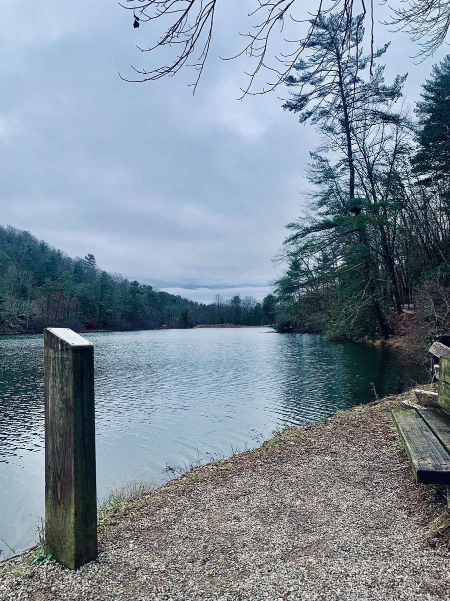 Sammy Flores tweet media