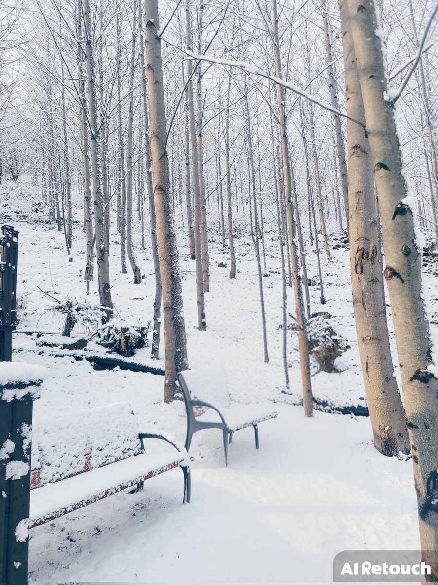 12월21일 강화도 화개정원
전날밤에 내린 눈으로 겨울왕국을 만들었다.
눈길이 가는 모든곳에 눈꽃이 만발....!!!
여친과 정상의 전망대까지 모노레일이 아닌 걸어서 간게 신의 한수!