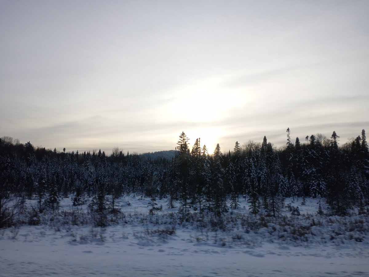 Winter light.