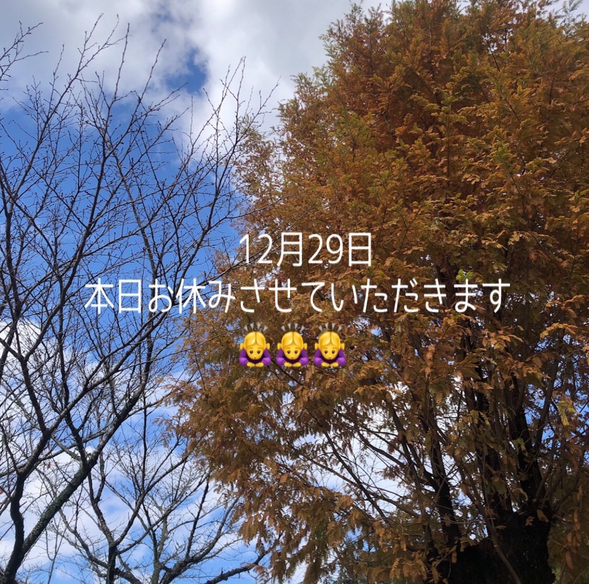 本日、お休みさせていただきます🙇‍♀️
明日は通常通り
11:30〜17:00まで、営業いたします！