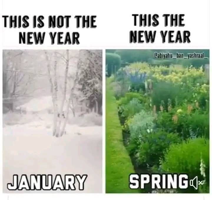 vegastarr's tweet image. 