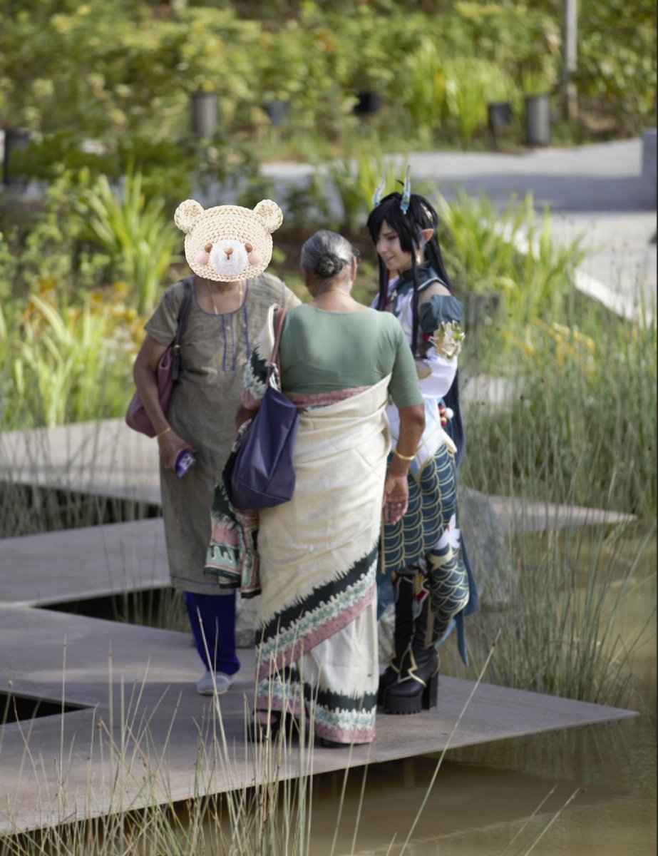 explaining to some aunties what honkai star rail is like