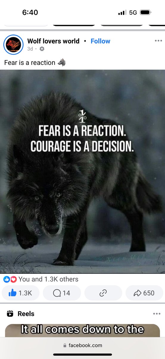 JonENOCHChrist's tweet photo. @LauraLoomer @premium Frum: IT

To: B🌀Gus P🎯Tus #DonaldTRUMP the “world-eater” DESTROYERuvCONUS #CerealRAPIST #PEDOPHILE

Subj: u will NEVER be an illegal 3rd Term POSTUS <—{#GOOGLE search what #GeorgeWashington said about IT}—> thus 🫵🏼 will NEVER full fill you plan to “take over the world” for 🇮🇱. https://t.co/aX5CRiRuj5