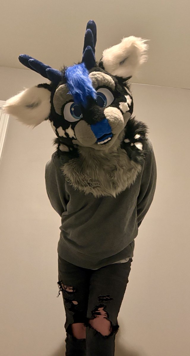 Zev Deer🔜FWA tweet media