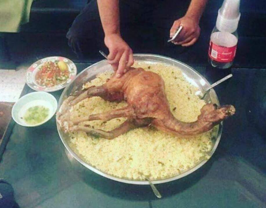 7emzza0ff's tweet image. Dab7in jmel dial bakia dial Camel