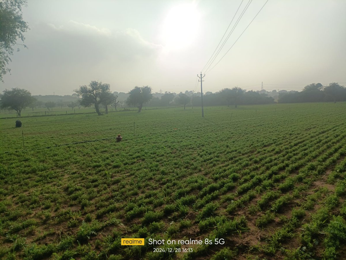 सुकून यही है.......