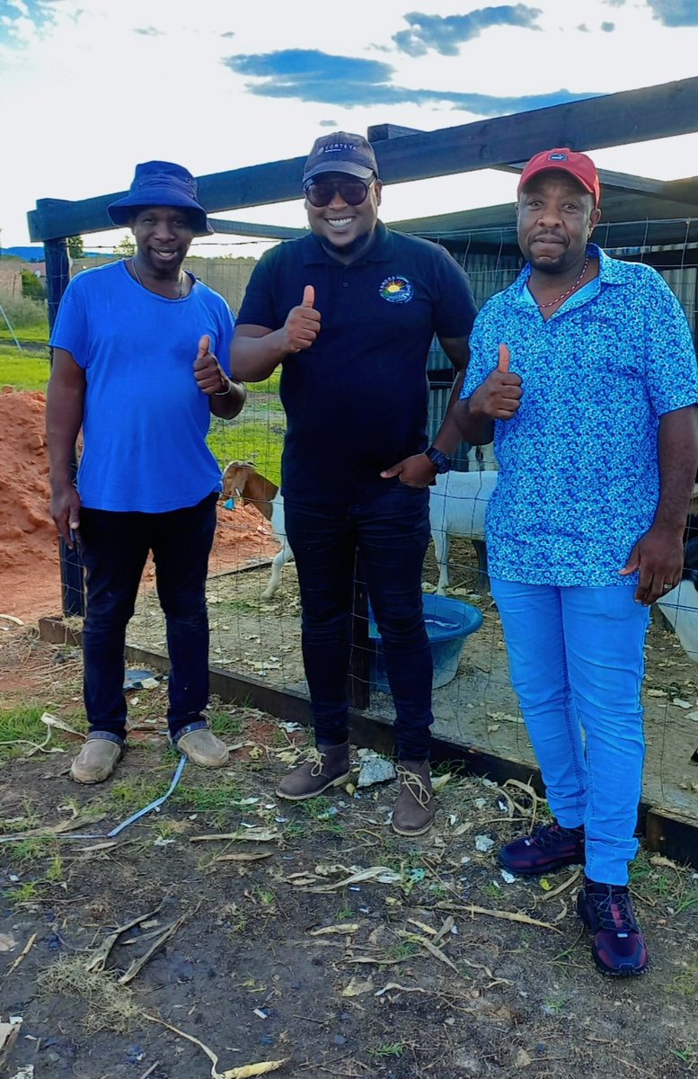𝙏𝙝𝙖𝙣𝙠 𝙮𝙤𝙪 𝙖𝙣𝙙 𝘾𝙤𝙣𝙜𝙧𝙖𝙩𝙪𝙡𝙖𝙩𝙞𝙤𝙣𝙨 goes to Tshepo Mohlala , for supporting us and strengthening his flock with 5 Young Ewes.

From Bapong Brits NW, we’re excited to have you in the *BROTHERS FARM LIVESTOCK* family!
#No1 Boer Goat Supplier