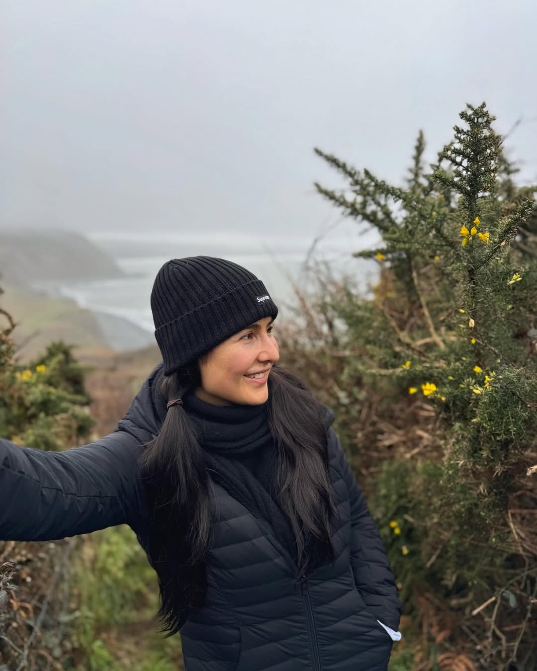 Gf81utdXMAAJhL6?format=jpg&name=large