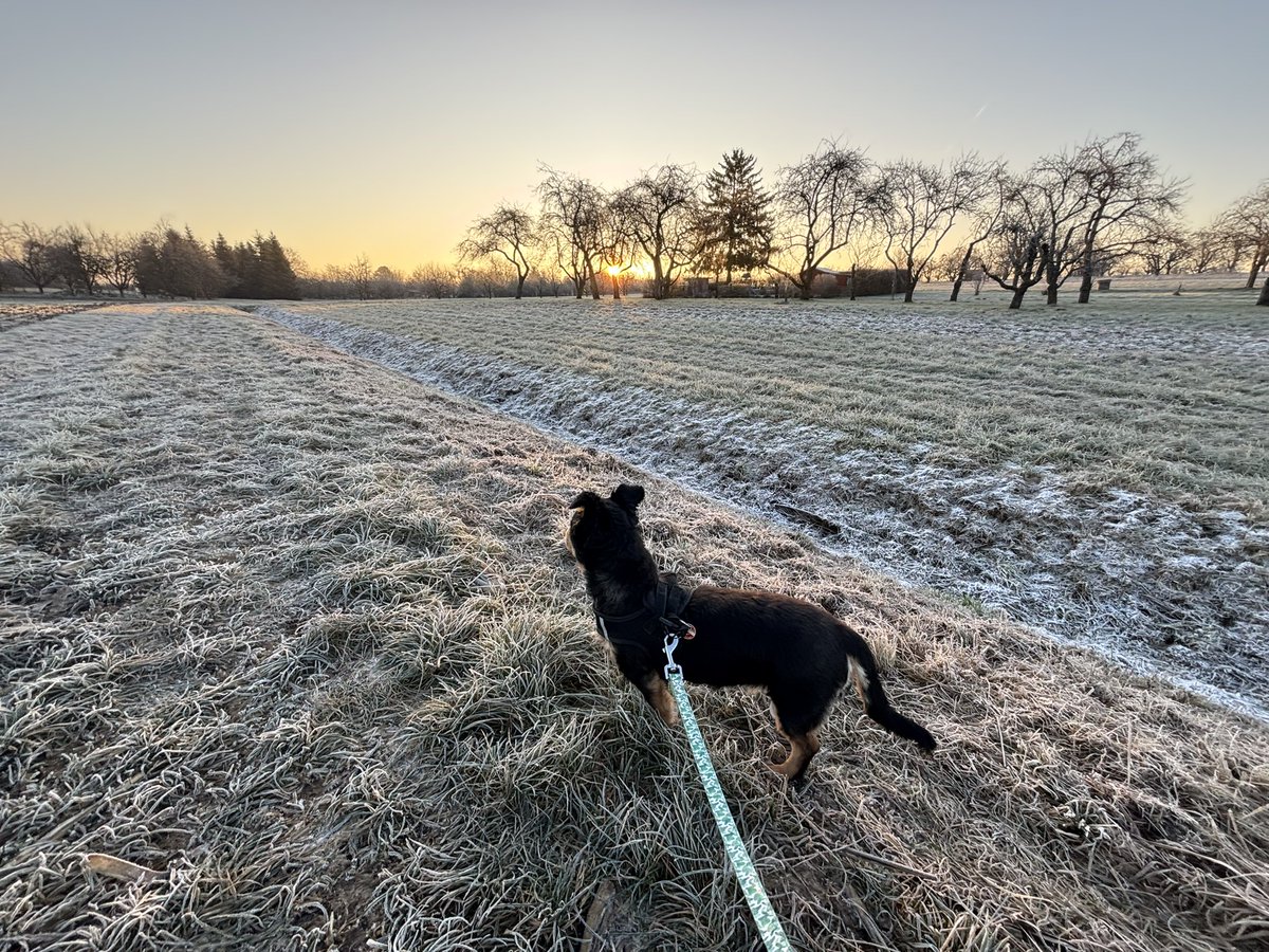 jllpaneque's tweet photo. Buenos días. Paseo mañanero al amanecer de #Beinstein a -4°C. No preocuparse que he cogido una rebequita. https://t.co/37e3nKg0lF