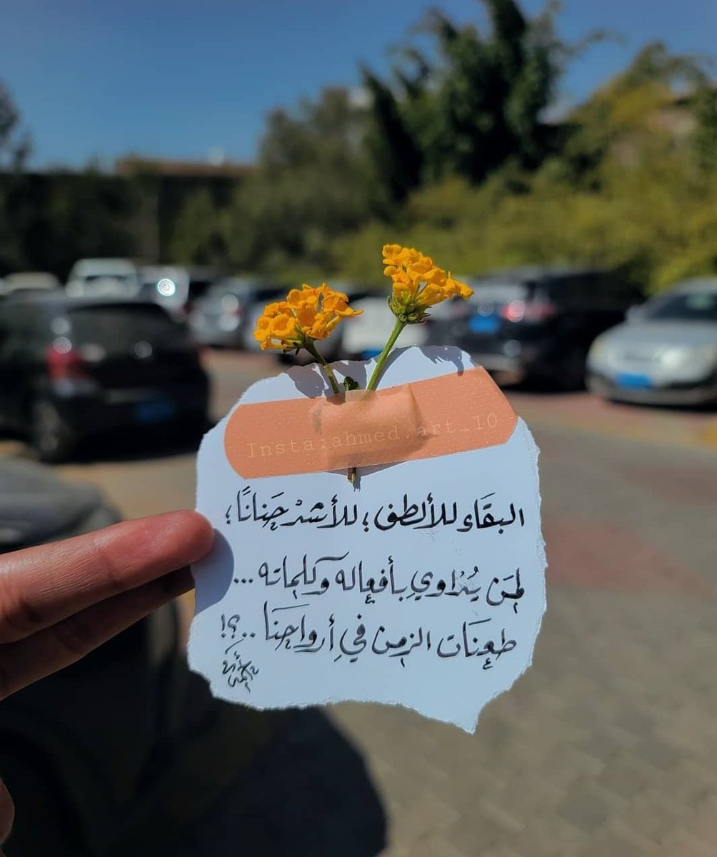 mahmood604's tweet photo. https://t.co/zVfU1rpftI