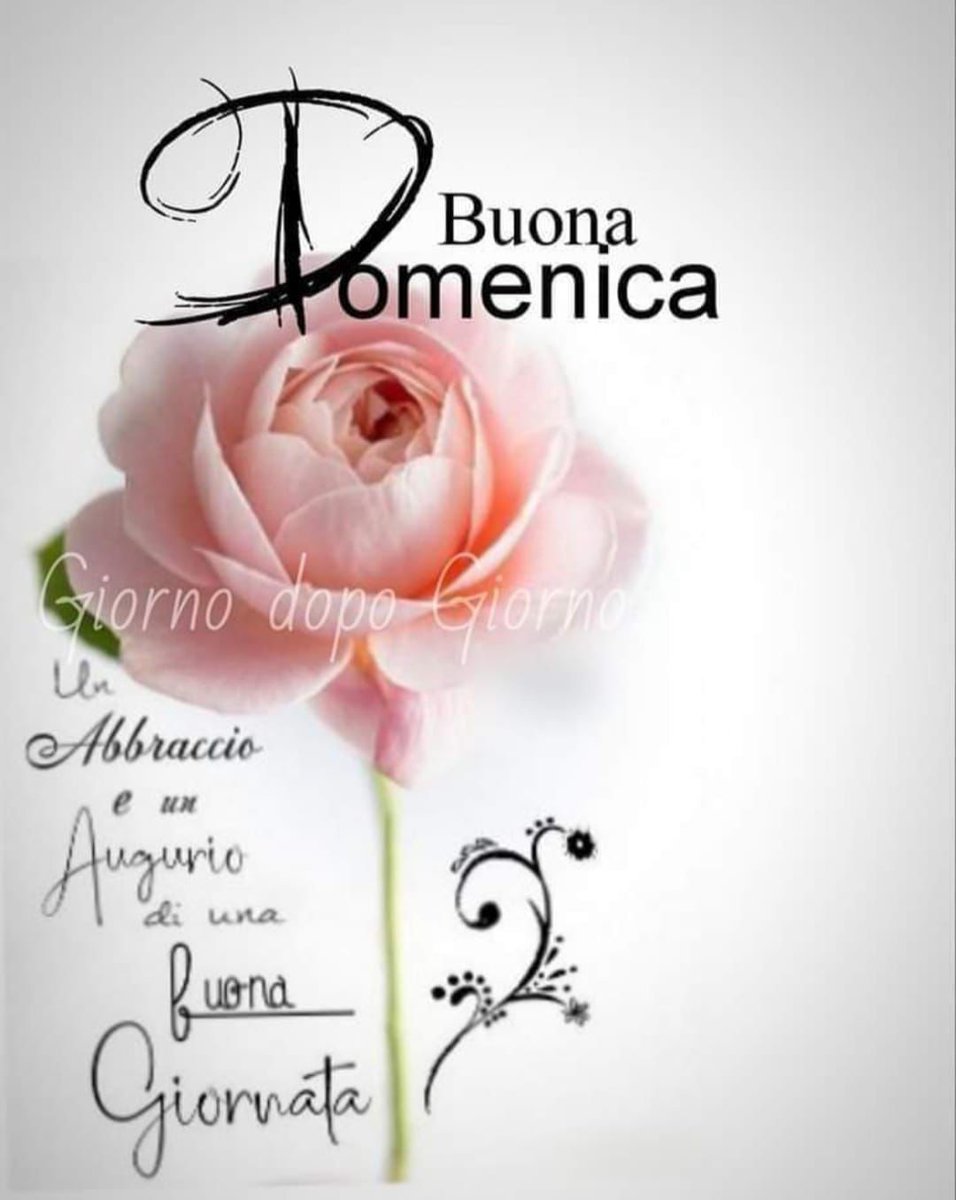 Marianna tweet media