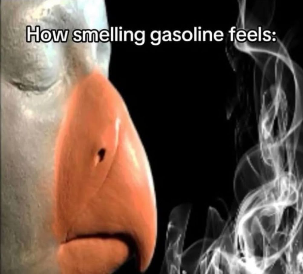 star 💫 (@stxrinsky) on Twitter photo 