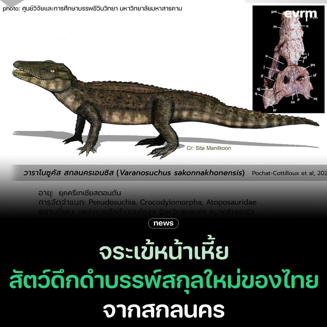 environman tweet media