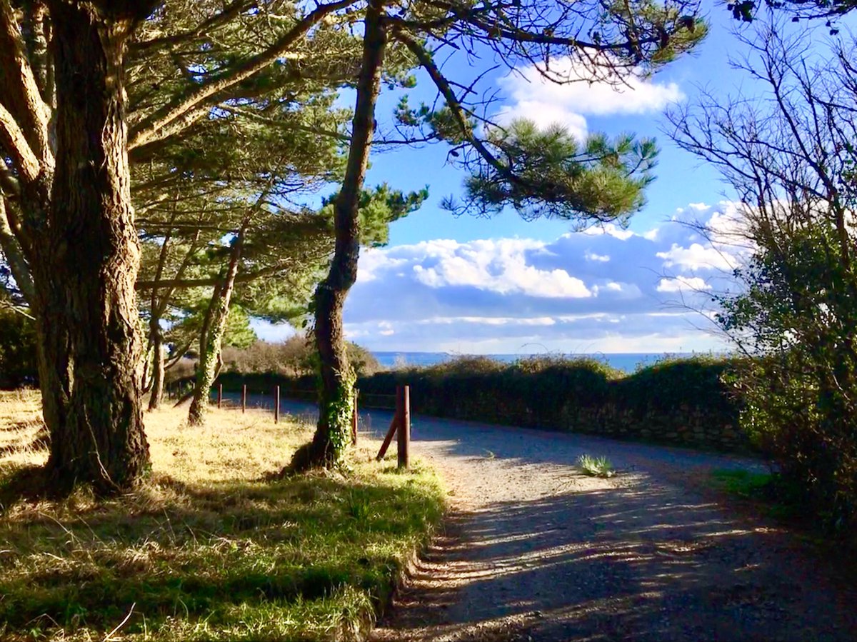 JaneJohnsonBakr's tweet photo. A lovely image a day for those of us still on here. How inviting is that path? It could lead anywhere - to the house of your dreams, to a clifftop or a secret beach, to a castle or the perfect Sunday pub. #Cornwall https://t.co/QSE19PrGdb