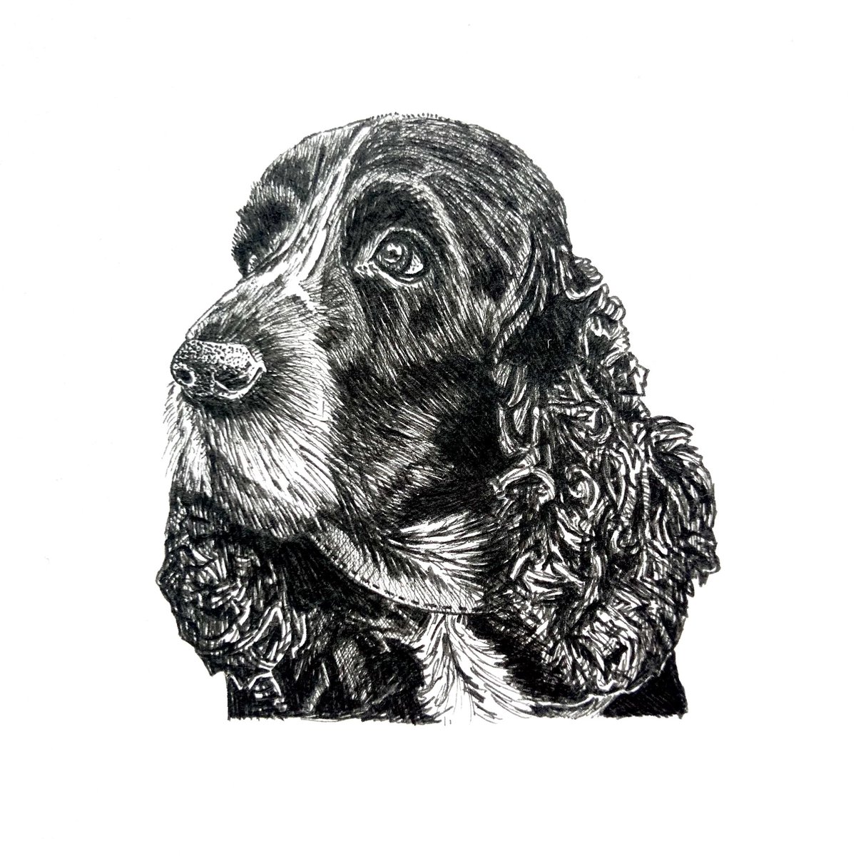 highstridesoc's tweet photo. π±πΆπ±
#itsrainingcatsanddogs #cat #dog #pet #portrait #petportrait #giftideas #creativegifts #personal #penandink #handdrawn #madetoorder #oneofakind #custom #art #design #illustration #unique #commission #inkart #inkartist #drawing #highstridesoc #localartist #birmingham https://t.co/m6V1SoAfra