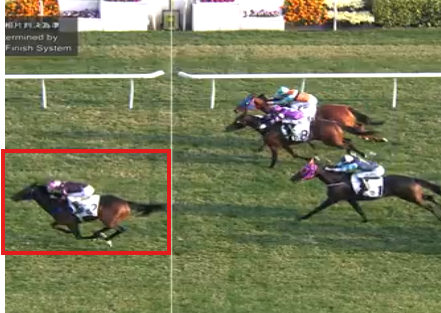 HKSpeedking2020's tweet photo. Winner! #TheAbsolute got out to $26. https://t.co/aGFsrziRrl