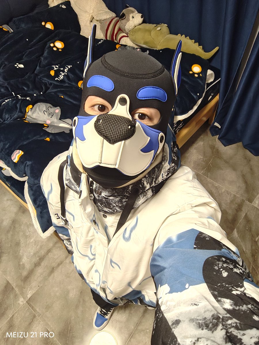 今日无聊的小🐶