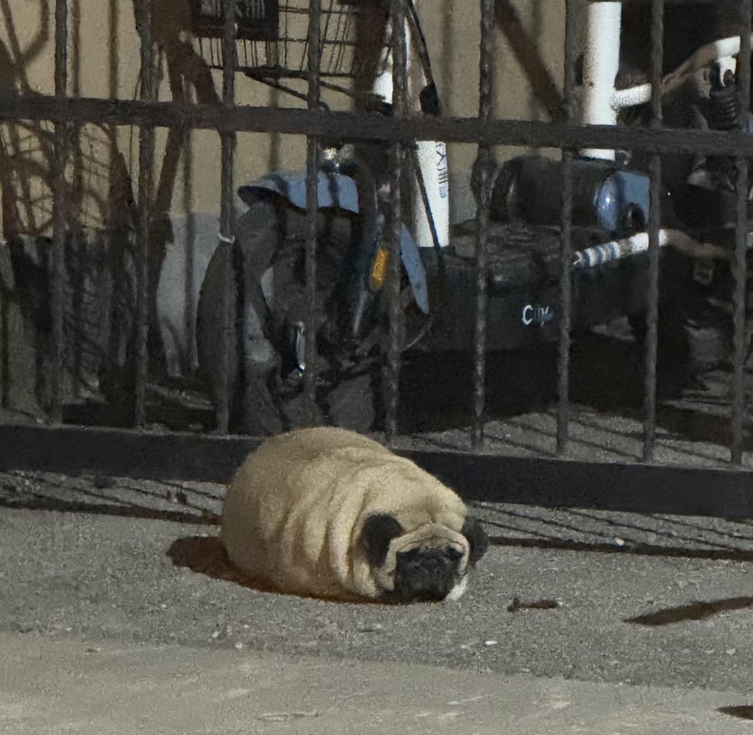 ช้านเป้นแค่ดักแด้น้อย ไม่มีใคกอด