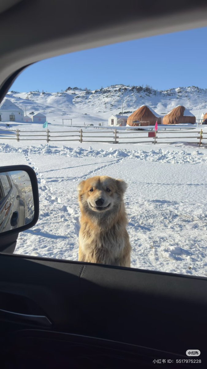 💖 (@twaniimals) on Twitter photo 