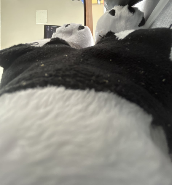 Glitchworx studios reincarnated tweet media