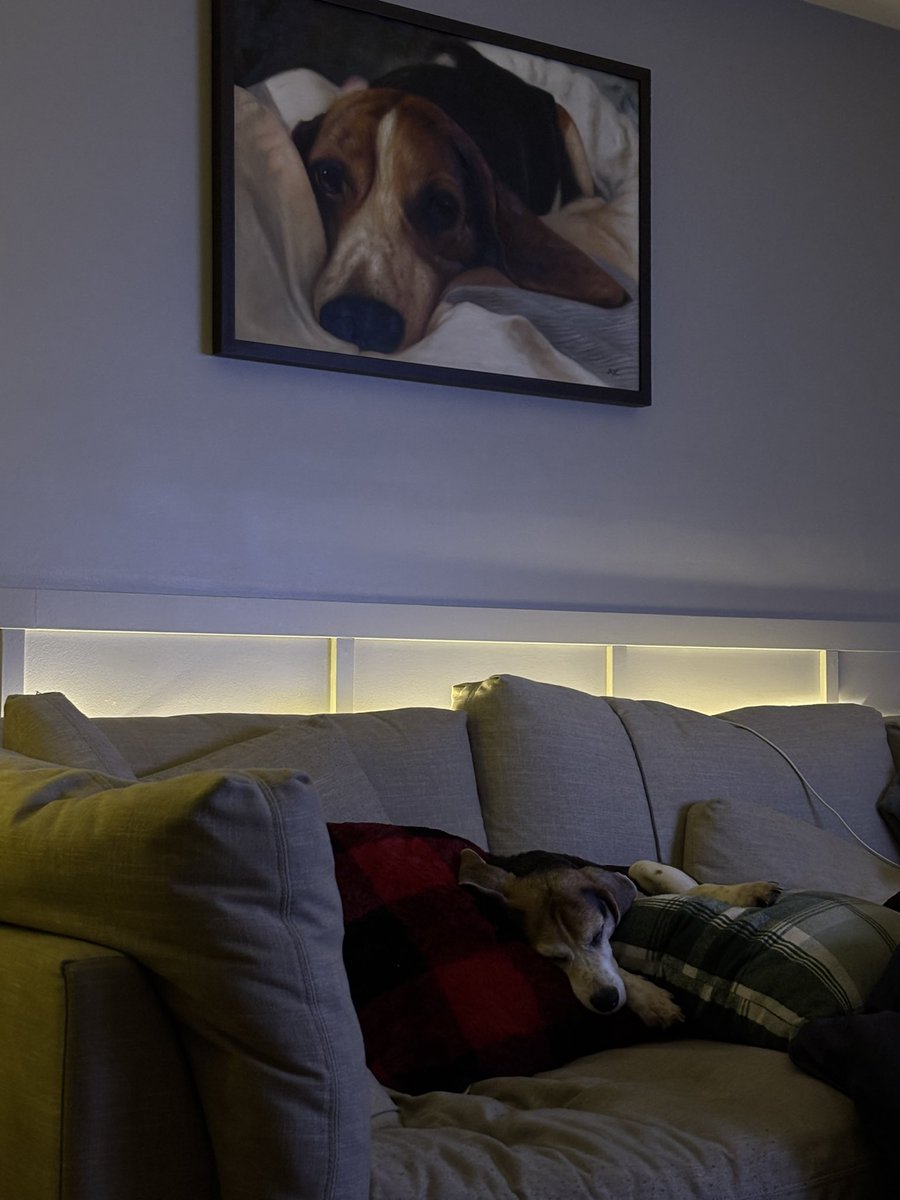 Alright alright, I may have partied too hard!