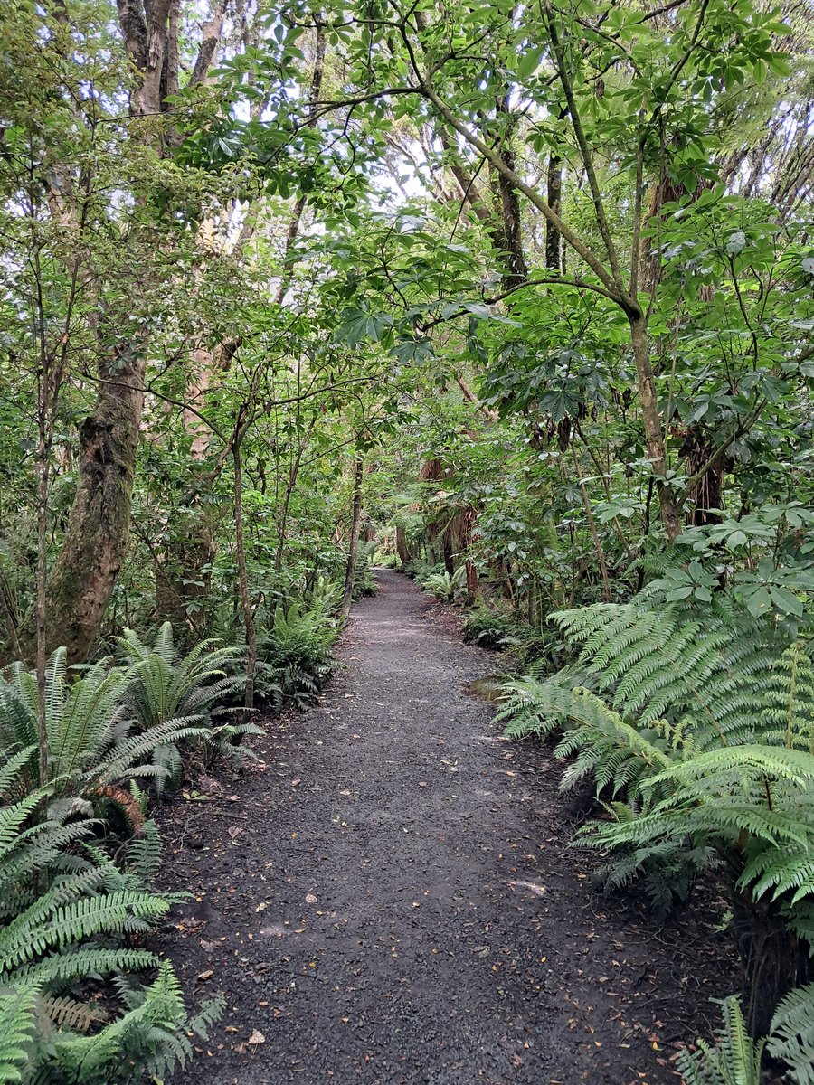 MPattenM's tweet image. V V V