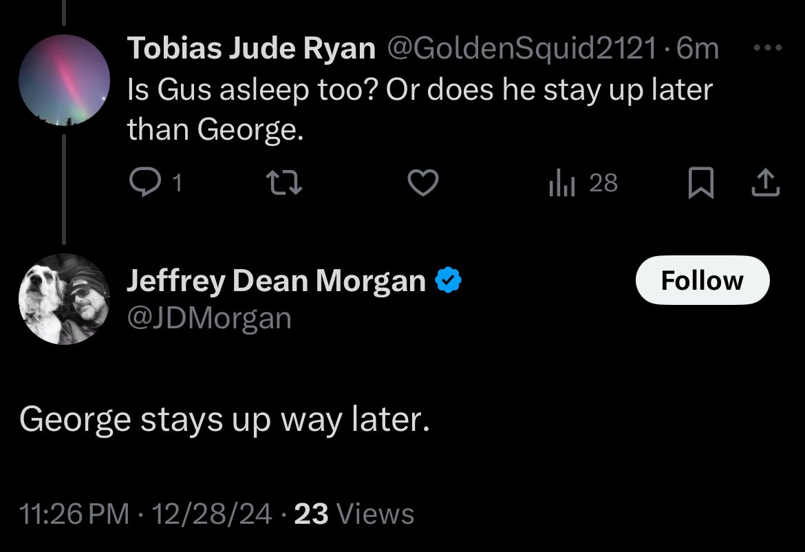 lil golden squid tweet media