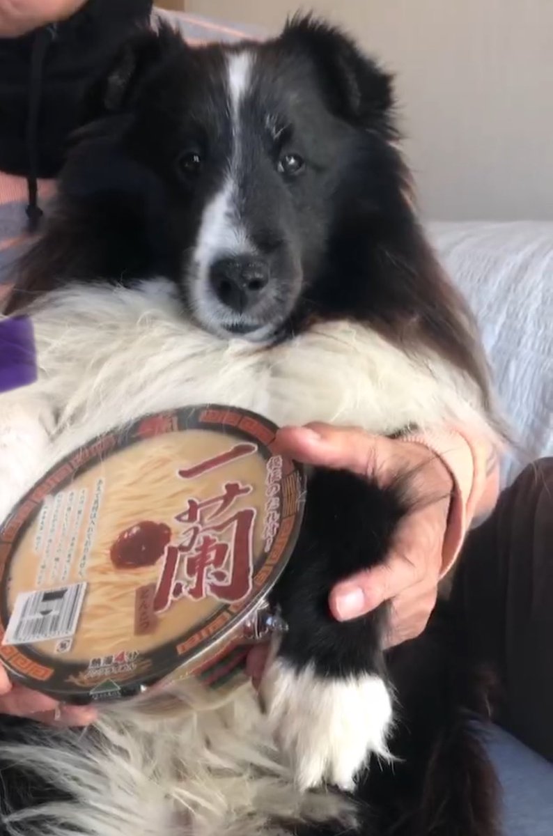 一蘭と僕