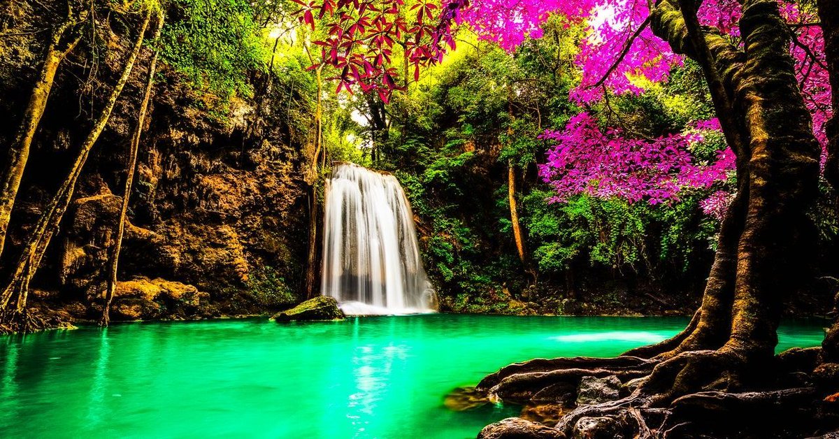 Martin Muntenbruch tweet media