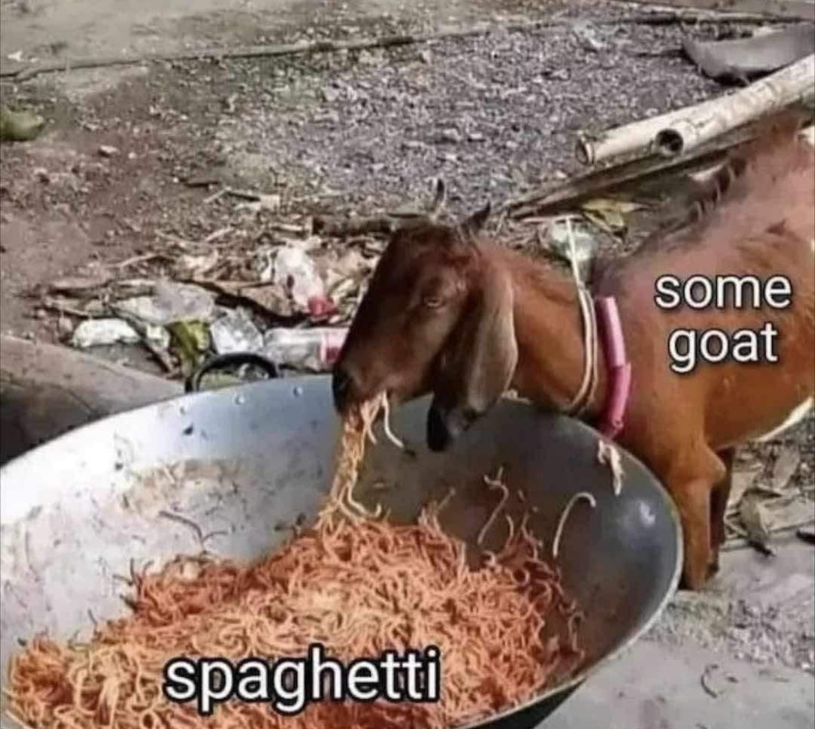 Respectful Memes tweet media