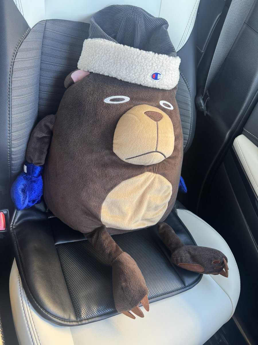 Lie_Luck7's tweet photo. 今日は助手席に呪骸のクマちゃん🐻 https://t.co/6u984EGHhN