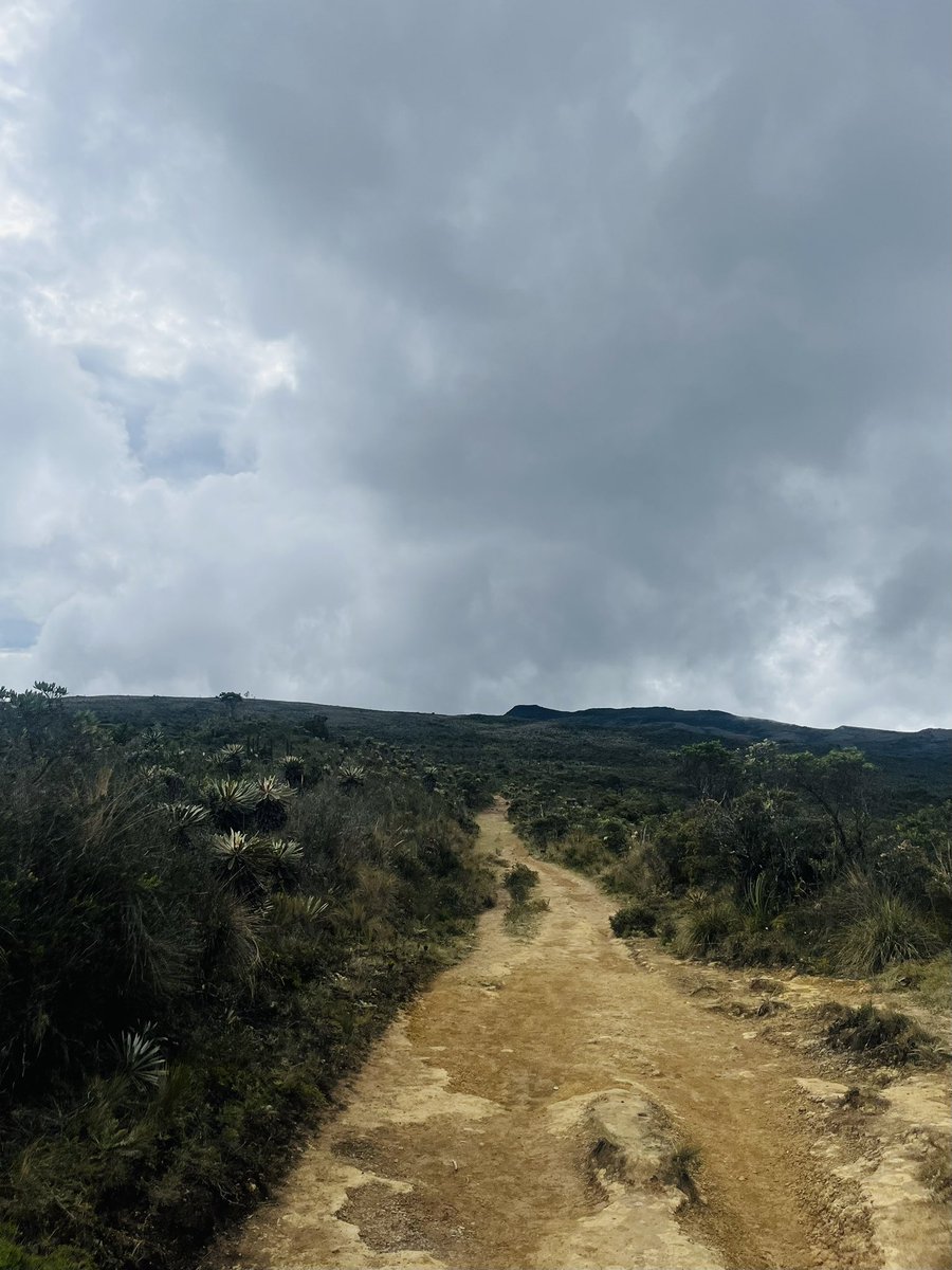 Dro_Gama's tweet photo. Desconectarse para encontrarse.
#gayboy #beardedboy #nature #gaywolf
(No siempre estoy desnudo) https://t.co/qqpt0MZNy0
