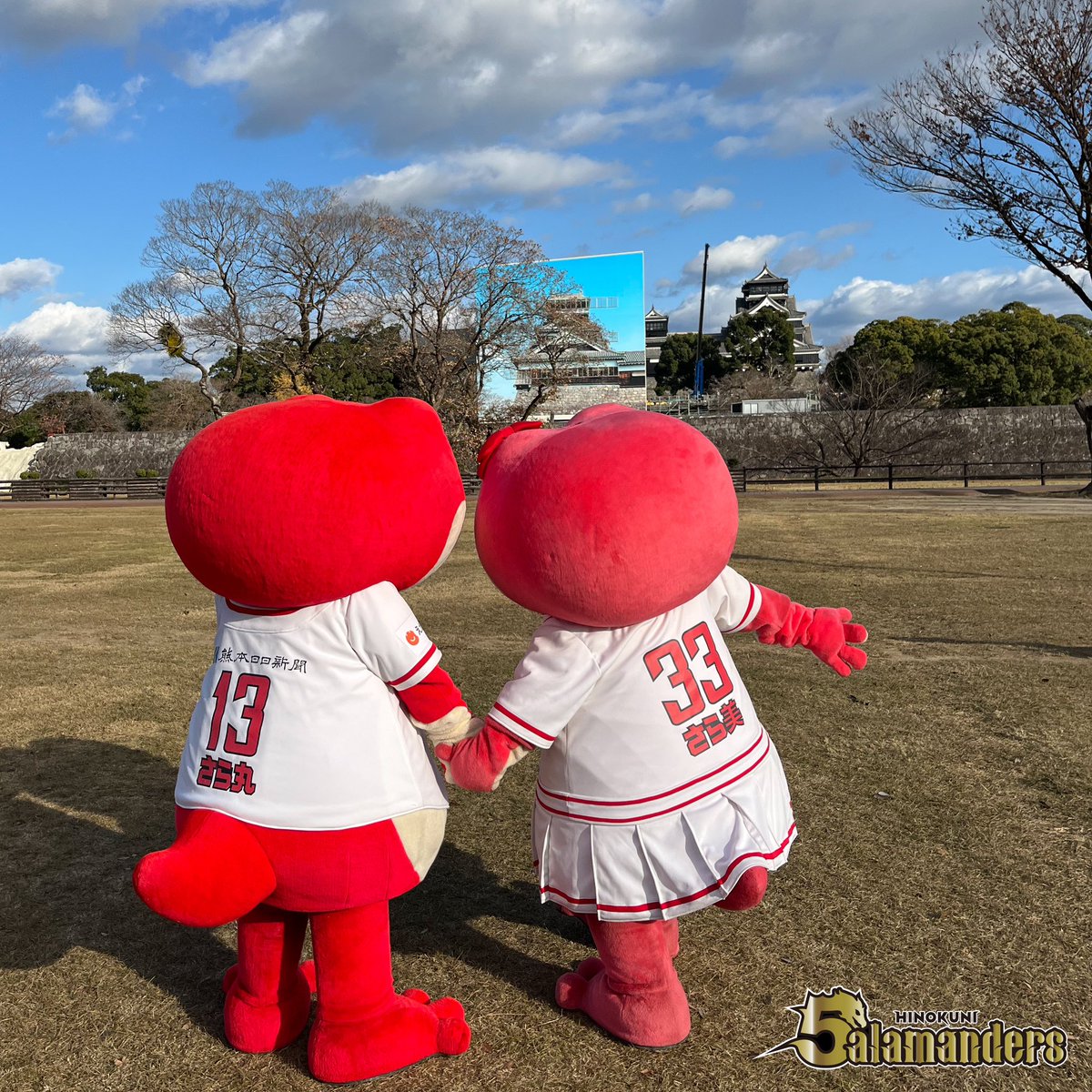 熊本サラマンダー火の国さら丸限定ぬいぐるみ 熊本サラマンダー火の国さら丸限定ぬいぐるみ