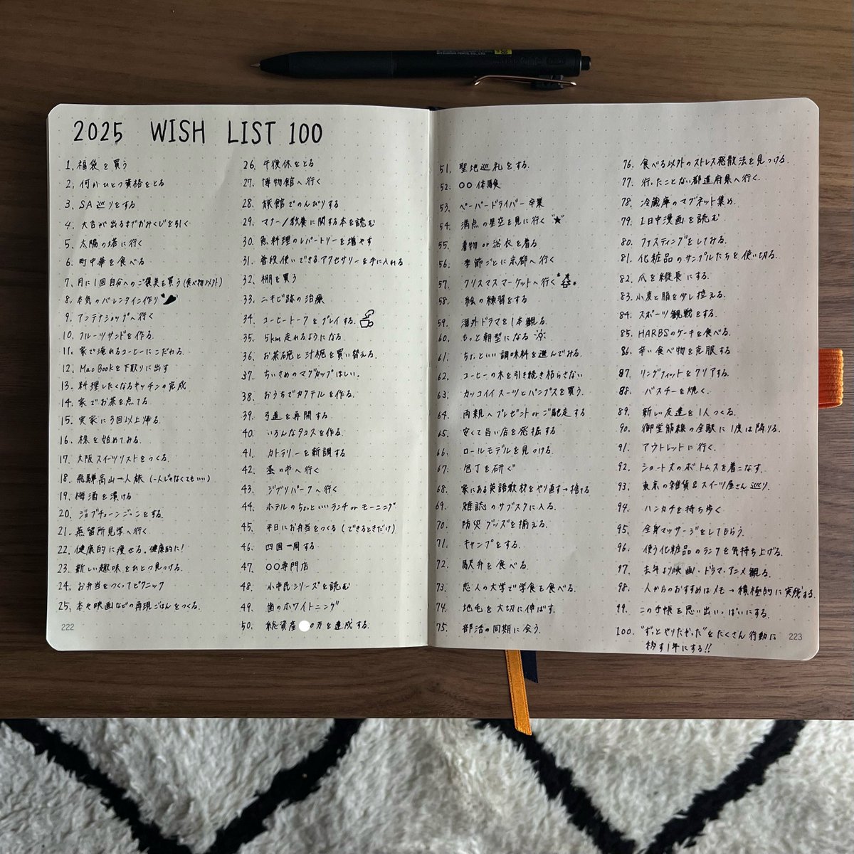 Bunshin_Diary's tweet photo. 2025年のやりたいことリスト100を書いた https://t.co/dv06V4VJIW