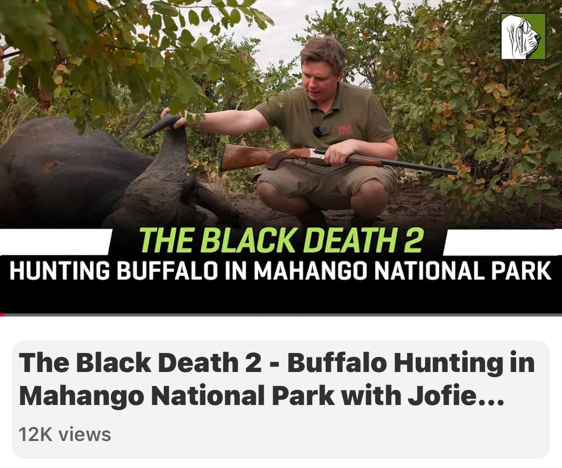 The Black Death 2 - Buffalo Hunting in Mahango National Park with Jofie ... youtu.be/8BY1HCEj-_Q?si… via <a href="/YouTube/">YouTube</a>
