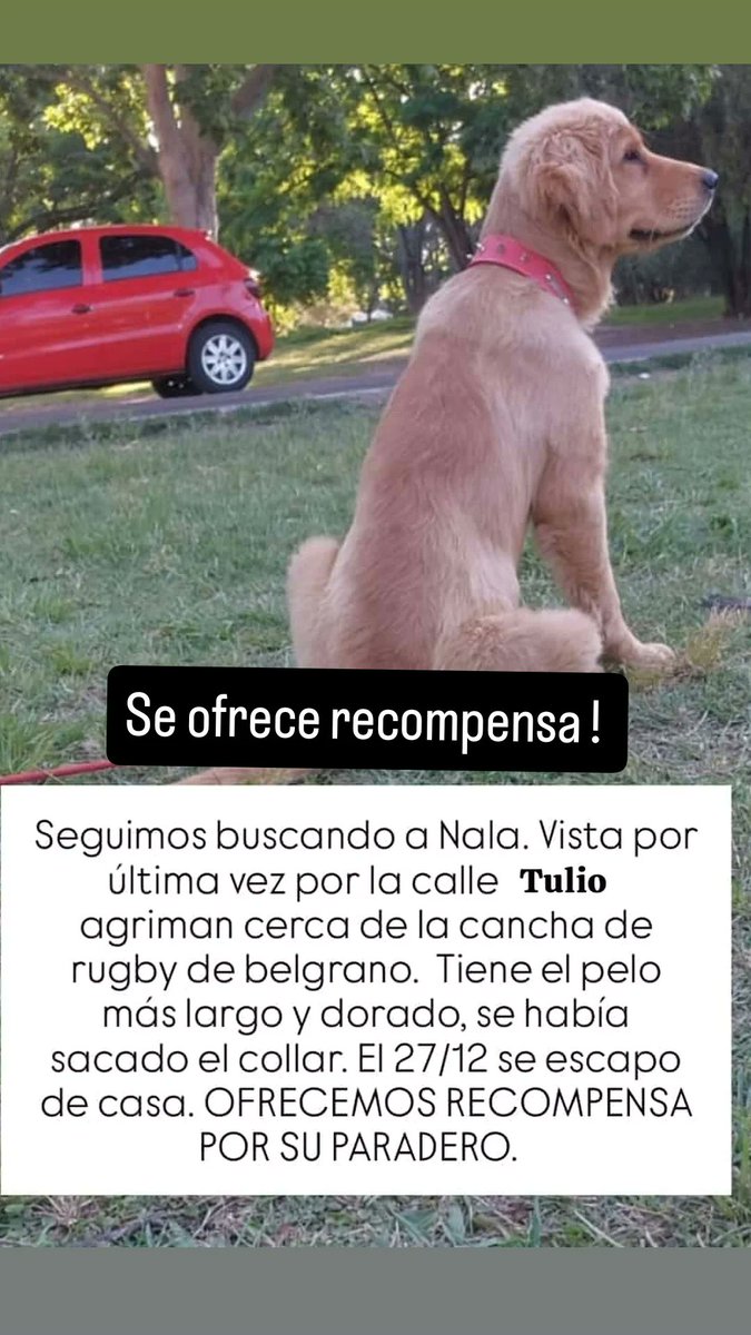 PabloTolaba15's tweet photo. Hola me ayudan a compartir ?. Es en san rafael mendoza!!! https://t.co/33t6ov24aY