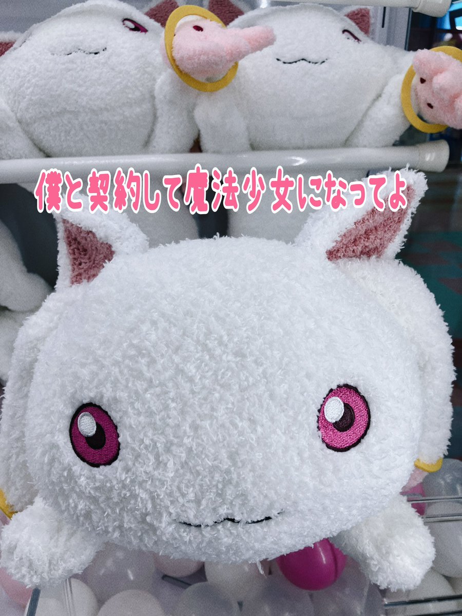 まいど！✋ ボロぞ…キュウべえふわふわBIGぬいぐるみ入荷してます