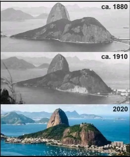 SILBER-FRAU tweet media