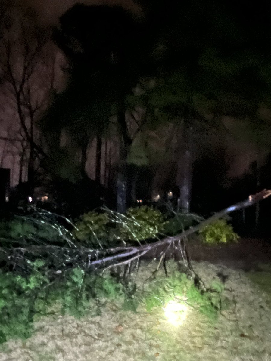RoofingIdea's tweet photo. @spann damaging wind gusts in Helena, AL. Multiple trees down in the yard. https://t.co/Phin0PpOmx