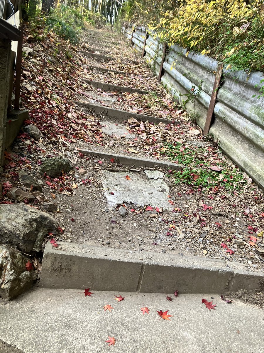 Google先生、、どこ通らせるんすか