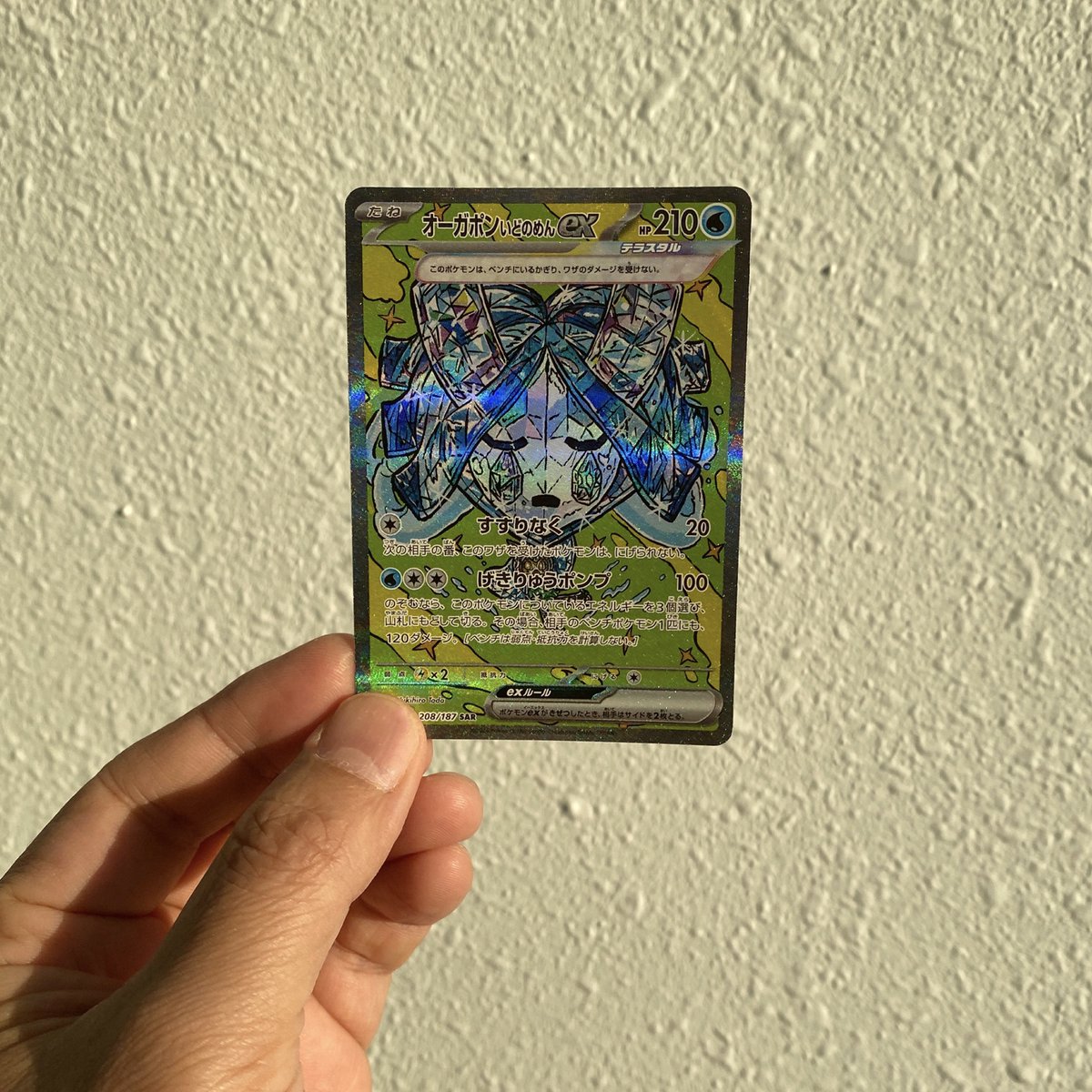 2024年12月6日発売のポケモンカードゲーム ハイクラスパック「テラス