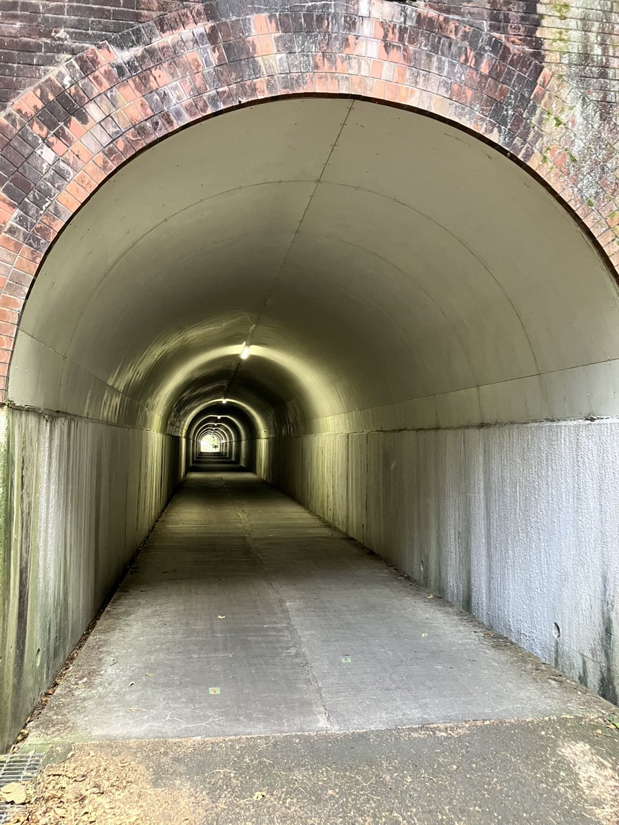 夜なら無理だったわ