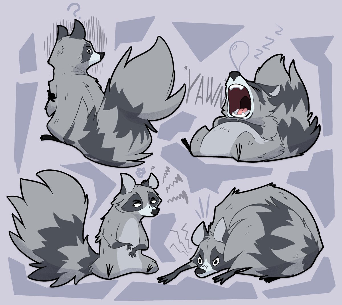 HappyRaccoons tweet media