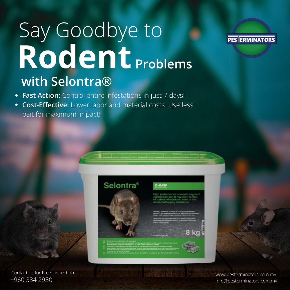 Pesterminators_'s tweet photo. Say Goodbye to Rodent Problems with Selontra®

Fast Action: Control entire infestations in just 7 days!
Cost-Effective: Lower labor and material costs. Use less bait for maximum impact!

#pesterminators #pestmanagement #pestcontrol #resorts #maldivesresort #resort https://t.co/ngtrcVub6Y