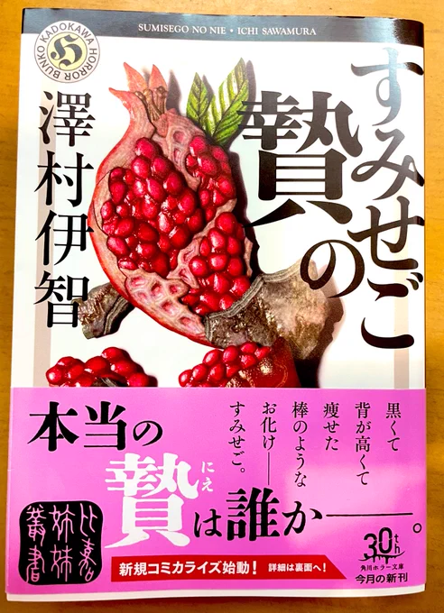 すみせごの贄。短編集は後味が悪いことが多いけど、戸栗魅姫のお話は良かった。一番しんどかったのは火曜夕方の客…。親になってから、特にこういうお話が辛くなってしまった。そして今回も辻村ゆかり先生がやらかしてくれた。この人の能力の正体考えるの楽しい。(ネタバレなので別途どっかで書きたい 