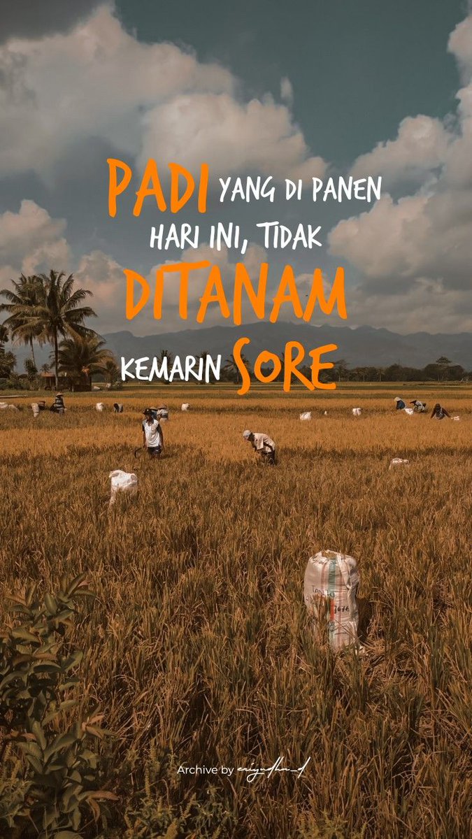 theowildan33's tweet photo. https://t.co/BaON2JKJs3