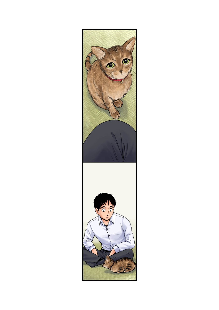 逃げ猫9/12 