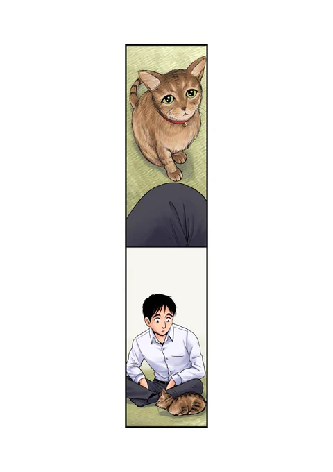 逃げ猫9/12 