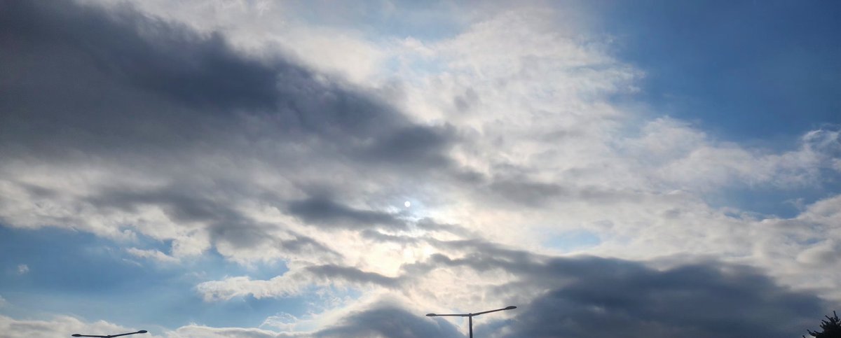 고래🐋 알🥚 (@goraearl) on Twitter photo 